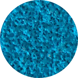 AMAZON-BLUE