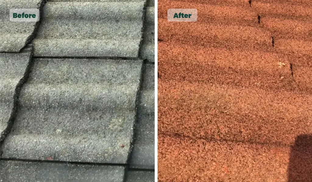 Roof shingles before and after Thermal CorkShield